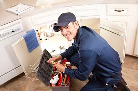 Best Garbage Disposal Repair and Installation  in Kings Mills, OH